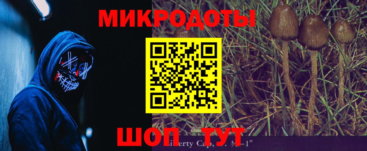 Галлюциногенные грибы Psilocybe Ханты-Мансийск